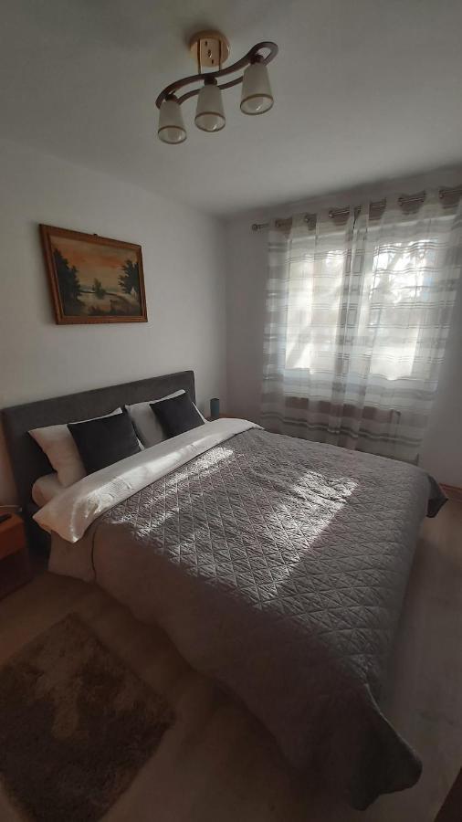 Relax Apartament Apartment Satu Mare Ngoại thất bức ảnh